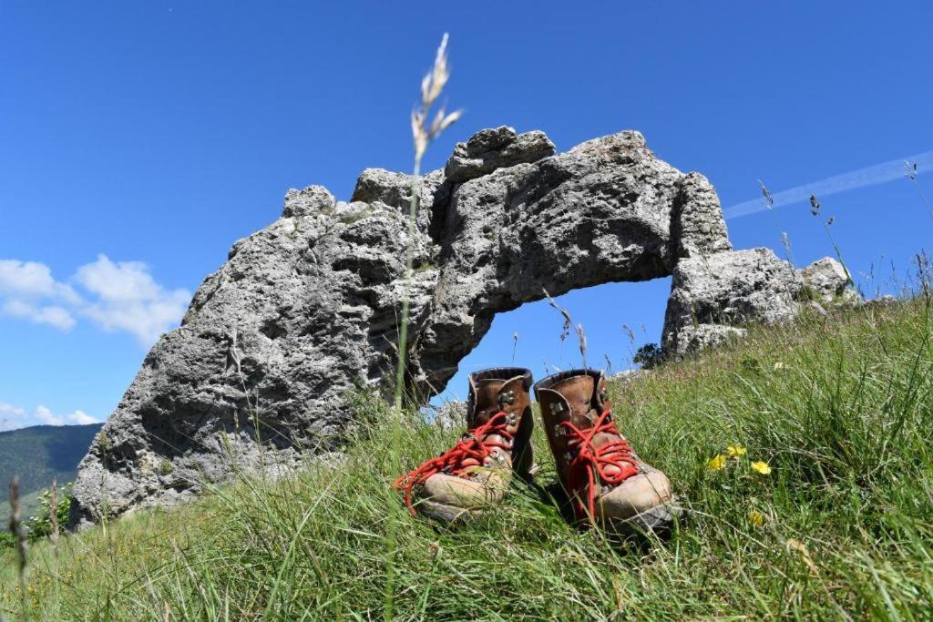 Апартаменты Bienvenue Dans Le Chartreuse 2 A 6 Couchages Cholonge Экстерьер фото