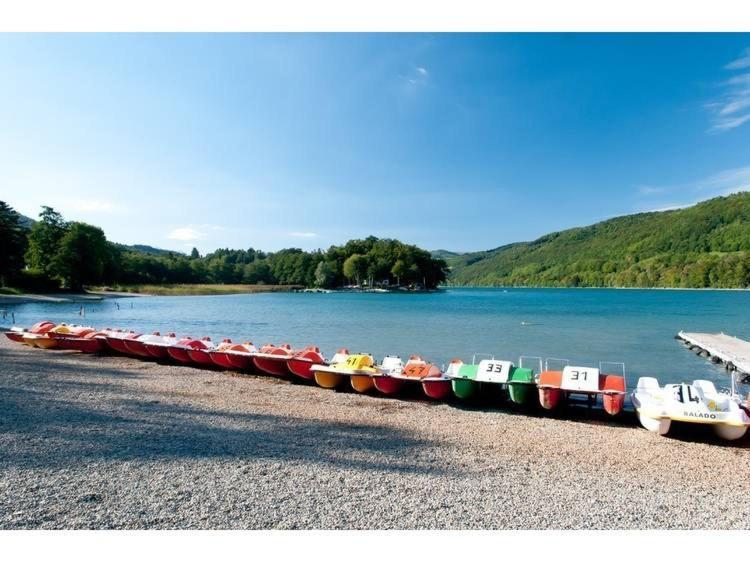 Апартаменты Bienvenue Dans Le Chartreuse 2 A 6 Couchages Cholonge Экстерьер фото